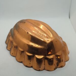 🧡Tagus Copper Plated Pod Mold